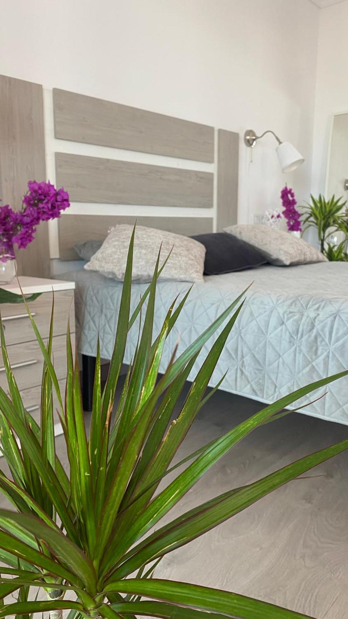 Apartment Anna Benidorm Ngoại thất bức ảnh